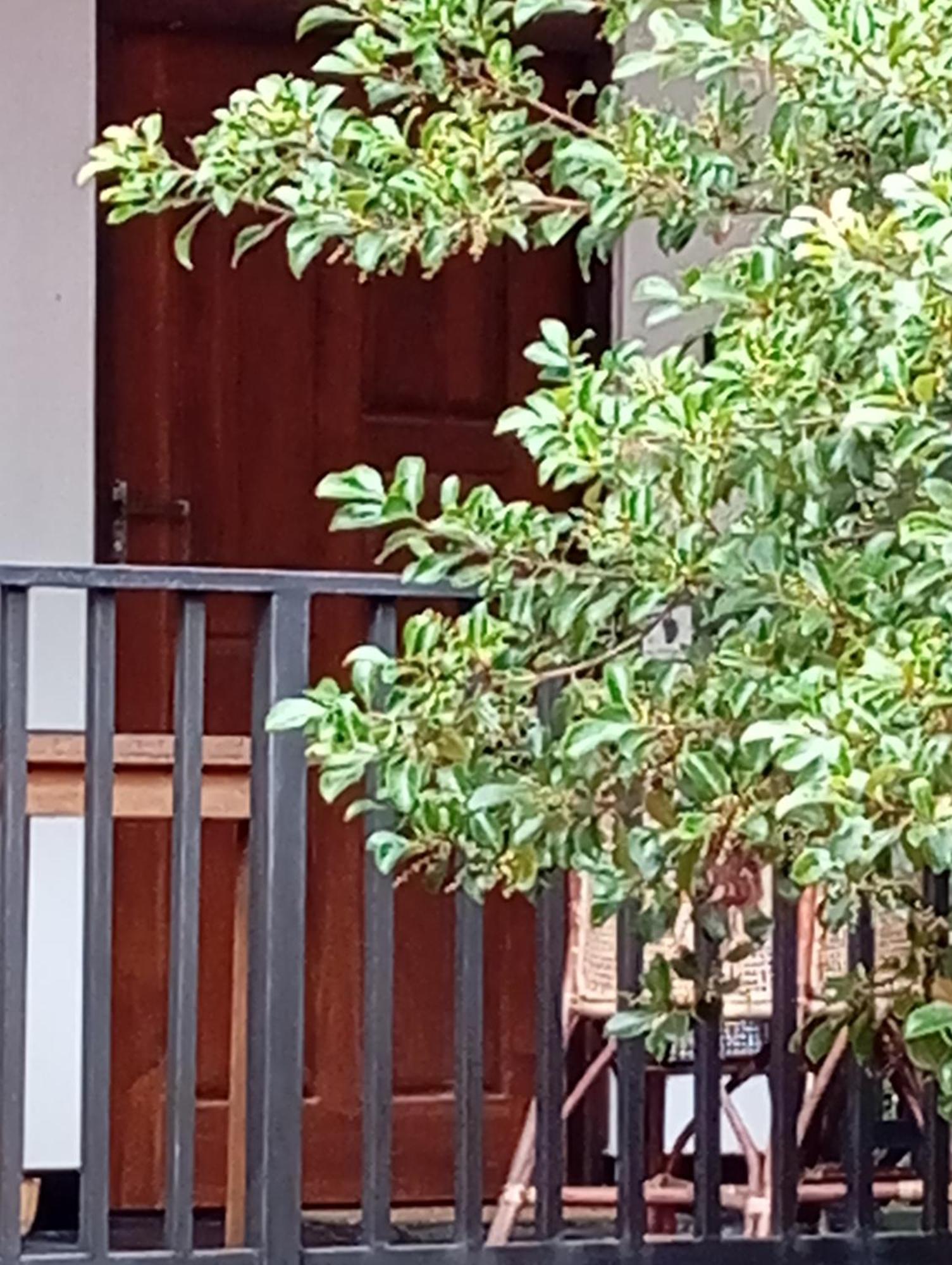 Ceylonima Home Stay アヌラーダプラ 部屋 写真