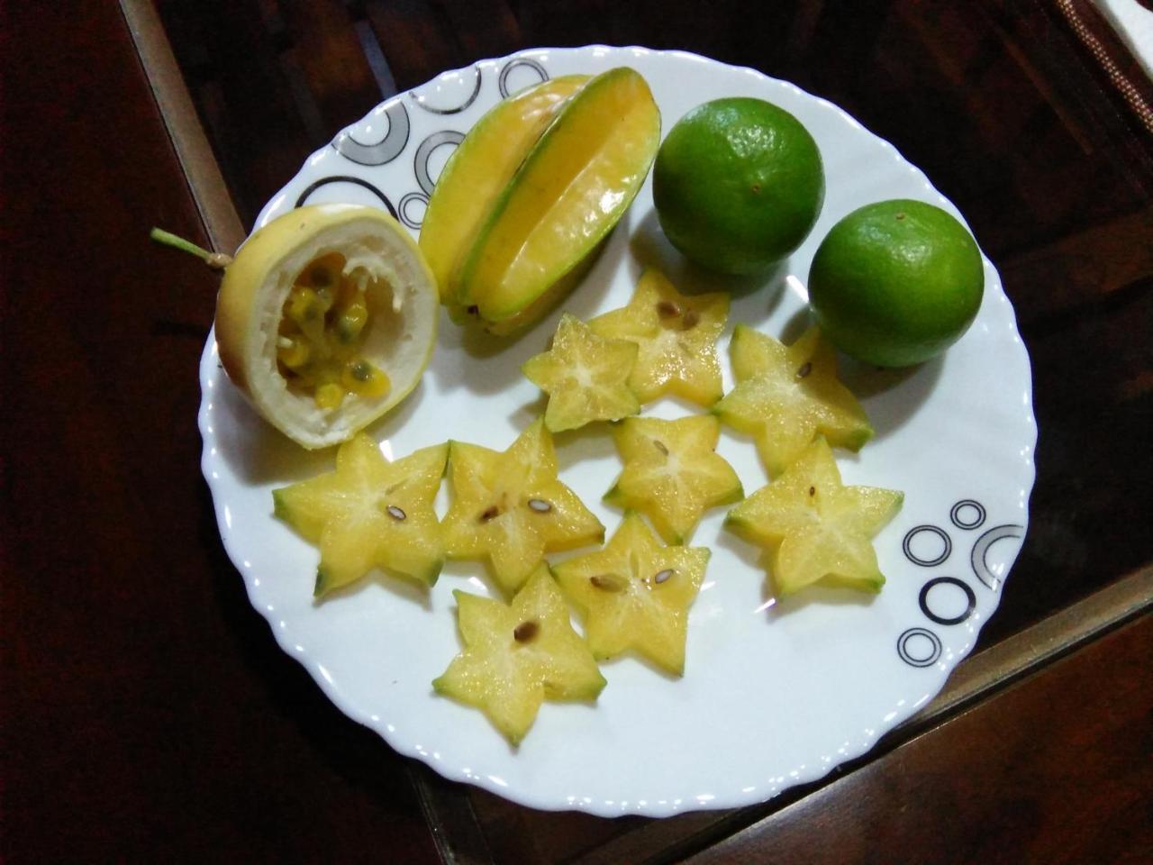 Ceylonima Home Stay アヌラーダプラ エクステリア 写真